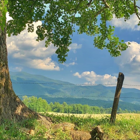 Meet your Posher, Angie - Picture 14 of 14